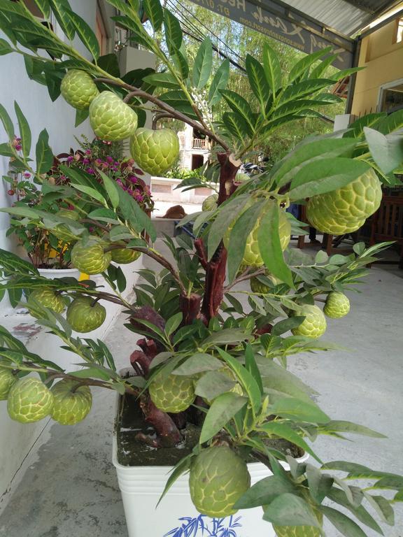 Hotel Song Xanh Bungalow Phu Quoc Esterno foto